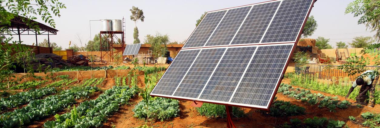 ¿Son rentables los huertos solares?